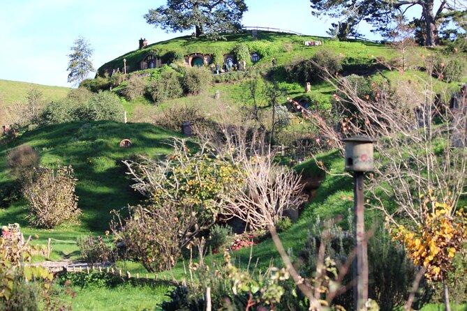 2-Day Hobbiton, Rotorua, Waitomo Caves Tour from Auckland with Accommodation - Morning at Hobbiton, where the film set becomes a real place