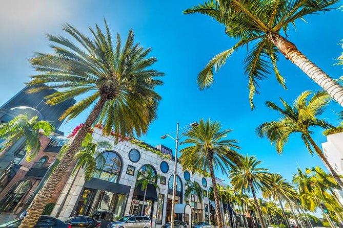 2-Hour Hollywood, West Hollywood and Beverly Hills Open Bus Tour - The Hollywood Hills and Laurel Canyon views