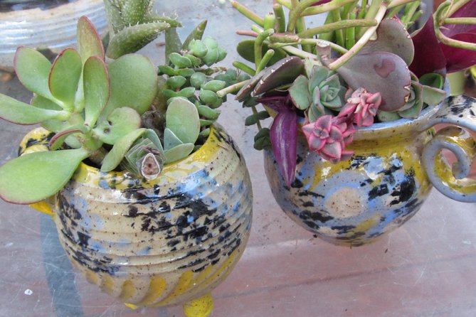 2- Hour Pottery Workshop and Studio Tour in Ojai - Who will enjoy this Ojai activity most