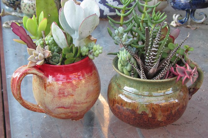 2- Hour Pottery Workshop and Studio Tour in Ojai - Watch the throwing demonstration before touching clay