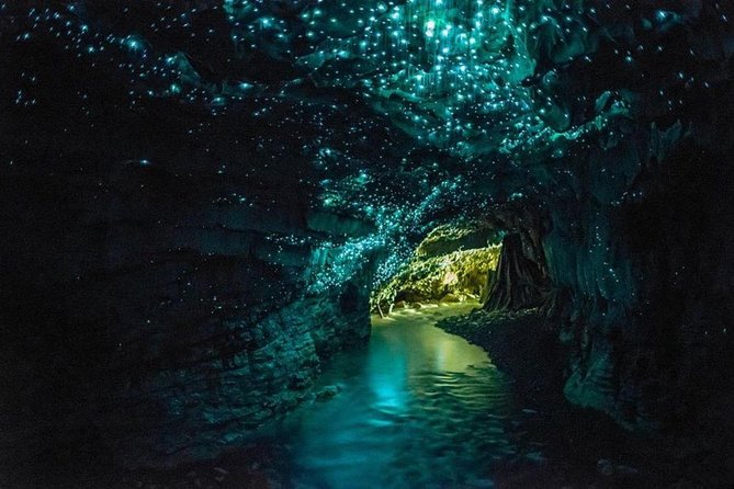 3-Day Hobbiton, Rotorua, Whakarewarewa, and Waitomo Tour - Day one: Auckland to Hobbiton through Waikato