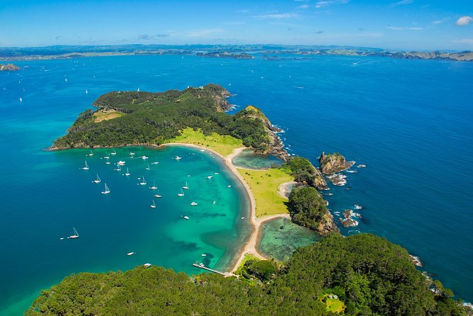 5-Day Bay of Islands, Auckland, Hobbiton, Rotorua & Waitomo Tour - Day 2: Waitangi Treaty Grounds and the return to Auckland