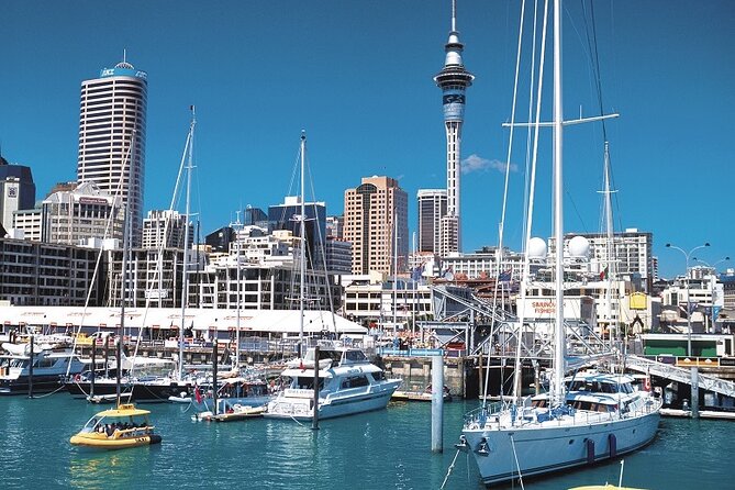 5-Day Bay of Islands, Auckland, Hobbiton, Rotorua & Waitomo Tour - Who will get the most from this five-day route