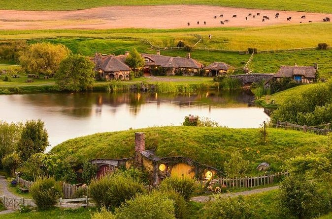 5-Day Bay of Islands Rotorua Waitomo Caves and Hobbiton Tour from Auckland - Day 5: Waitomo’s Glowworm Grotto and the return to Auckland