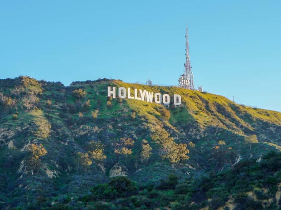 Anaheim: Hollywood Grand Tour with Hotel Pickup - Why this Anaheim to Los Angeles tour makes sense