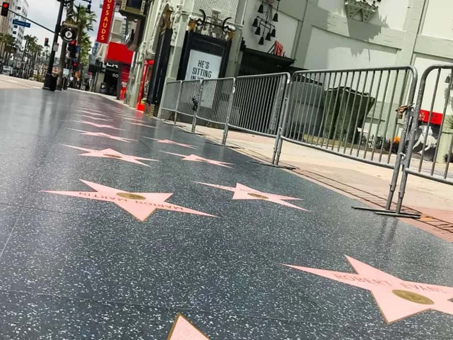 Anaheim: Hollywood Grand Tour with Hotel Pickup - Hollywood Boulevard, Chinese Theater, and the Walk of Fame