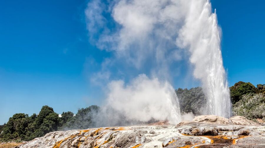 Auckland: Hobbiton and Rotorua Day Tour including Te Puia - Should you book the Hobbiton and Te Puia tour?