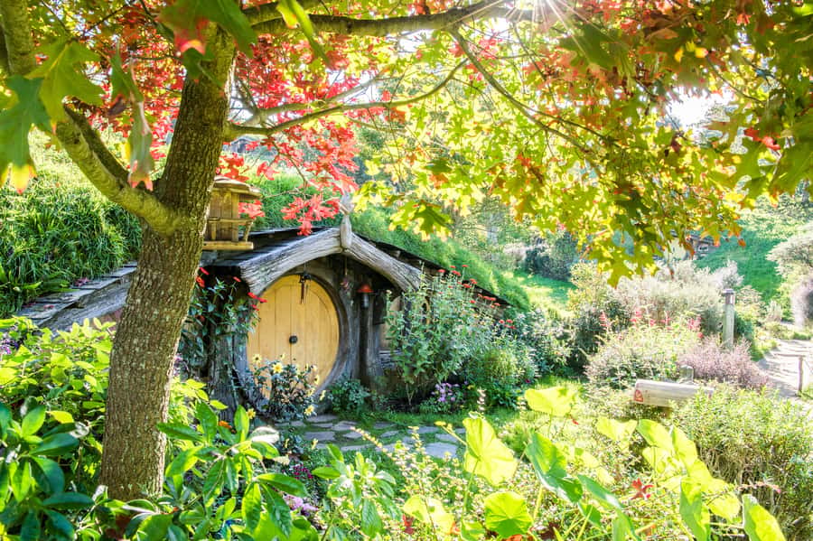 Auckland: Hobbiton Movie Set Tour with Lunch - Key points to know before booking