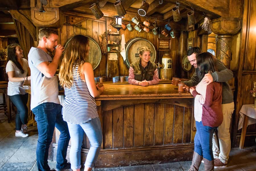 Auckland: Hobbiton Movie Set Tour with Lunch - The return drive to Auckland
