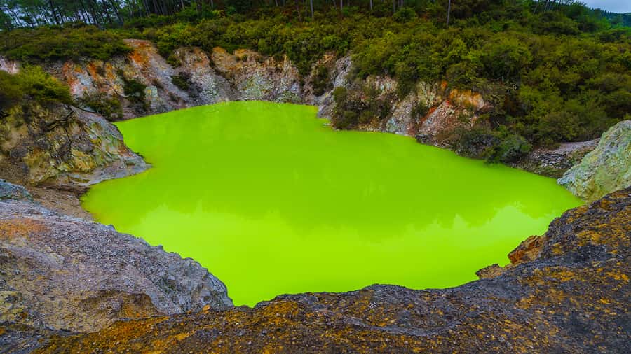 Auckland: Hobbiton, Rotorua and Wai-O-Tapu Day Tour - Rotorua highlights without the overnight stay