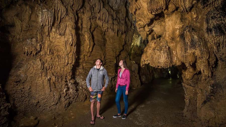 Auckland: Hobbiton, Waitomo Caves, and Rotorua 1-Way Tour - Small-group transport and pickup details