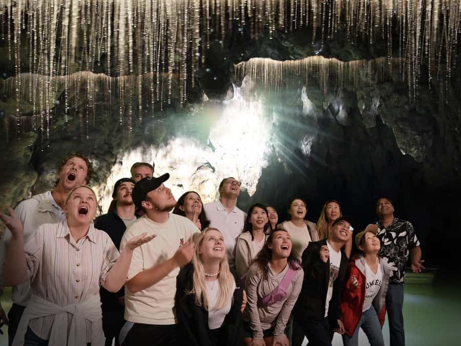 Auckland: Hobbiton & Waitomo Caves Small-Group Tour & Lunch - Is $226 good value?