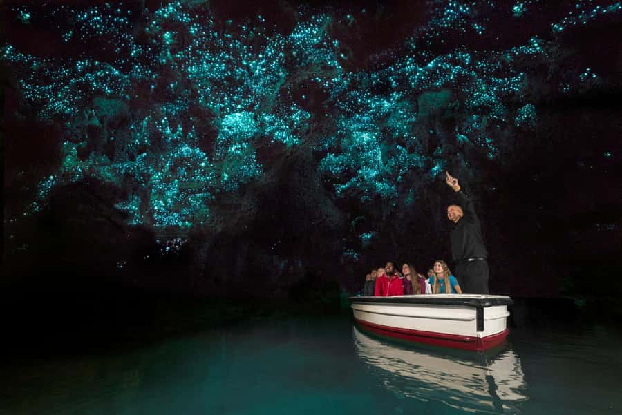 Auckland: Hobbiton & Waitomo Glow Worm Caves Private Tour - The road from Hobbiton to Waitomo