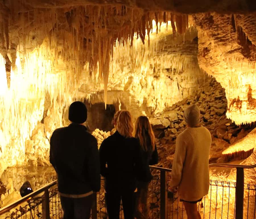 Auckland: Hobbiton & Waitomo Glow Worm Caves Private Tour - Who should book this full-day outing?