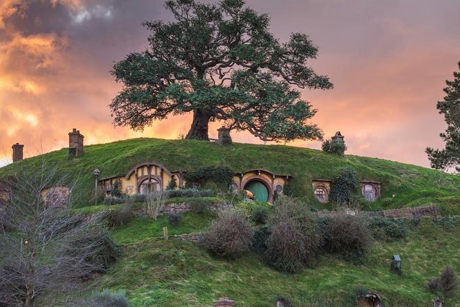 Auckland to Hobbiton Movie Set and Rotorua's Geothermal Valley - Who should book this tour?