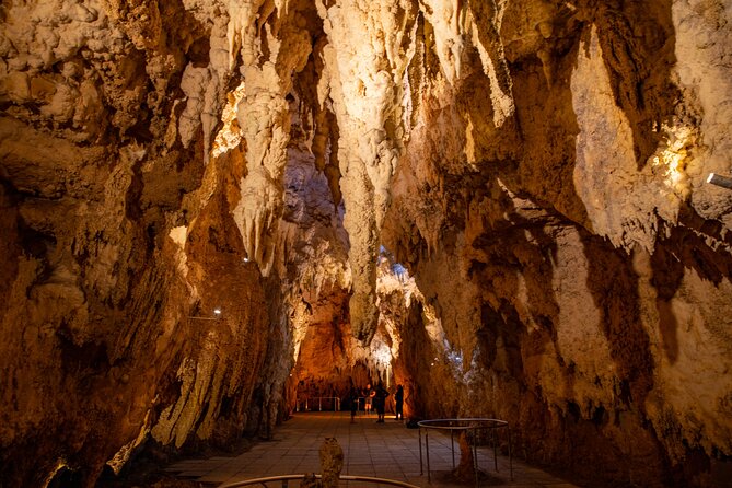 Auckland to Rotorua, Hobbiton and Waitomo 1 Way Small Group Tour - Tirau and the road toward Rotorua