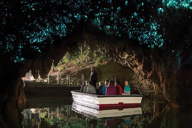 Auckland to Rotorua, Hobbiton and Waitomo 1 Way Small Group Tour - The guide, vehicle, and group size