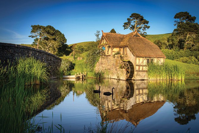 Auckland to Waitomo Caves and Hobbiton Movie Set Private Tour - Why this Auckland day trip works