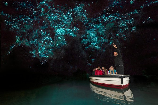 Auckland to Waitomo Caves and Hobbiton Movie Set Private Tour - Who should book this experience?