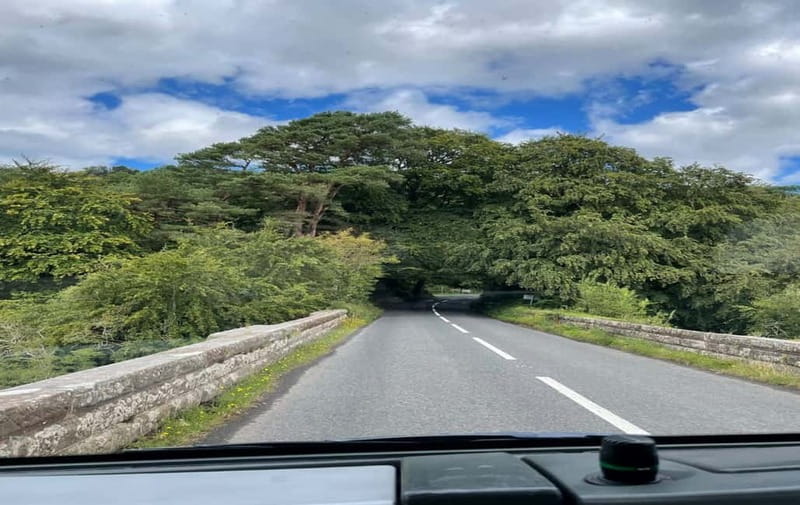 Belfast: Giant's Causeway, Coast Road & Game of Thrones Tour - The Dark Hedges brings the Kingsroad to life
