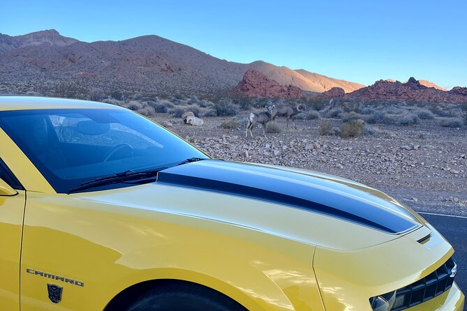 Bumblebee Camaro Tour: Transformers Movie Locations - The 6:00 a.m. start from the Las Vegas Strip