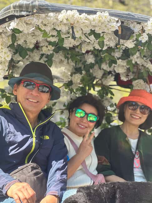 Central Park: Guided 1.5-hour Movie & Celebrity Pedicab Tour - Practical tips for making the most of 90 minutes