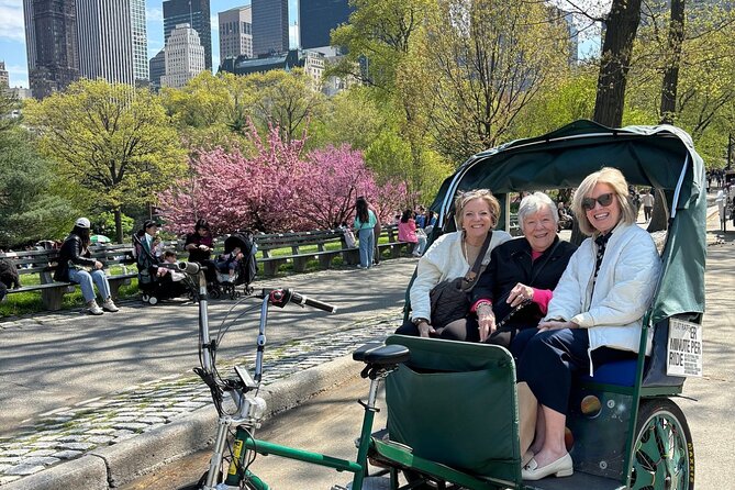 Central Park Movie Locations and Celebrity Homes Pedicab Tour - Price, timing, and guide quality