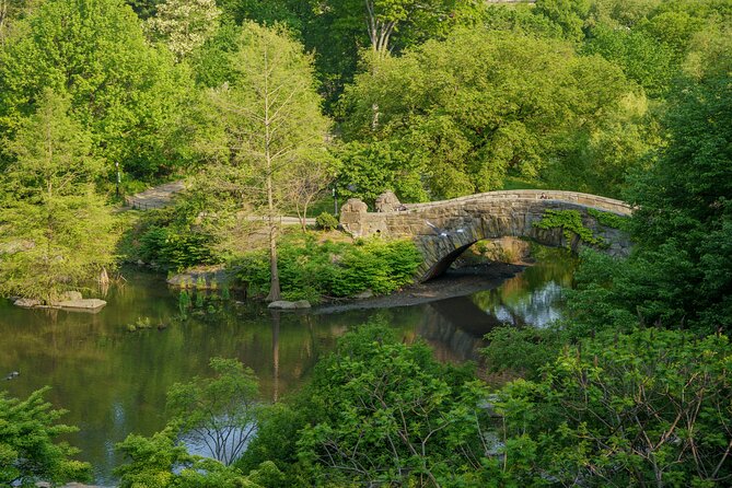 Central Park Movie Locations Pedicab Tour - Starting near Sixth Avenue and the Plaza Hotel