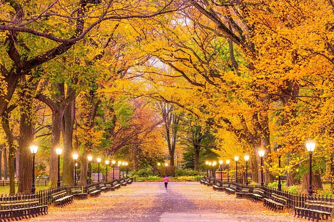 Central Park TV and Movie Sites Walking Tour - Key details before you book