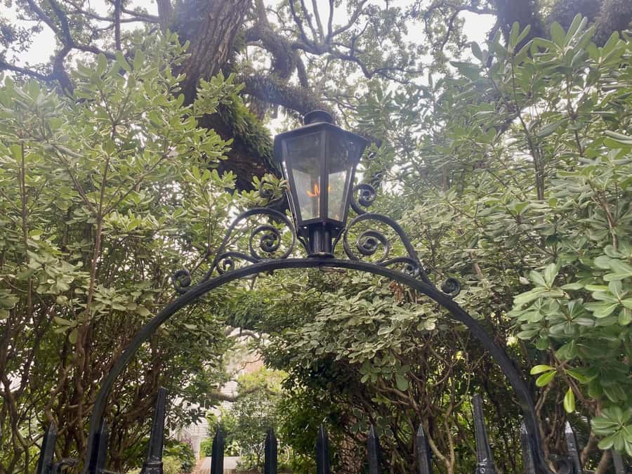 Charleston: Outer Banks Film Locations Tour - How much value do you get for $225?