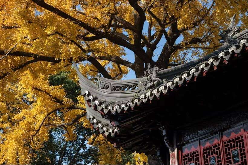 China Hollywood and Yiwu-the offline Temu commercial heaven - Evening train and hotel arrival in Hengdian