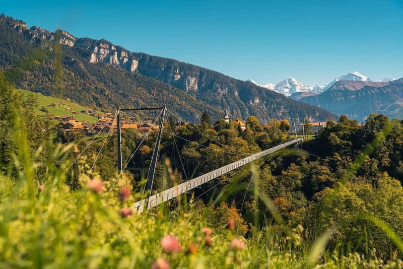 Crash Landing on You: Switzerland Filming Locations Day Tour - What the private vehicle and guide add