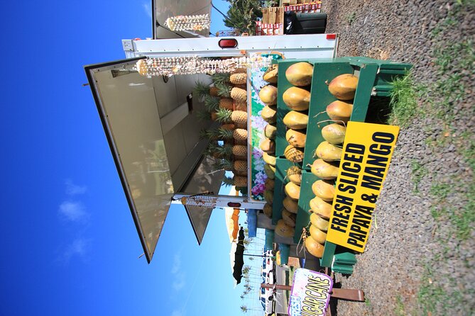Cruise Ship Shore Excursion: Kauai Movie Sites Tour - Hanalei Pier is the scenic high point