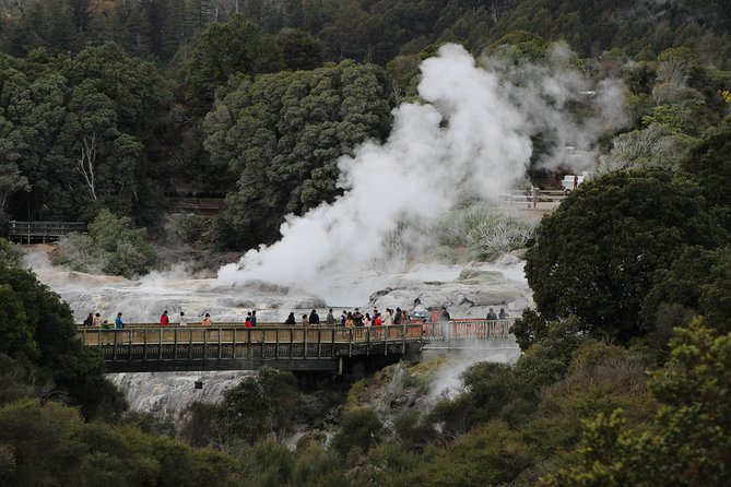 Day Tour Hobbiton + Rotorua from Auckland in Luxury Minibus - Geysers, kiwi, and Rotorua sightseeing