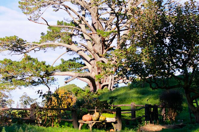 Day Tour Hobbiton + Rotorua from Auckland in Luxury Minibus - The driver-guide can shape the day