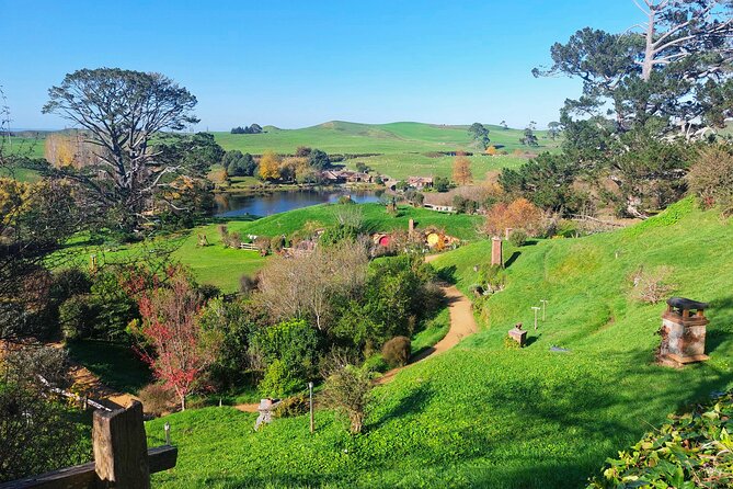 Day Tour Hobbiton + Rotorua from Auckland in Luxury Minibus - The long-day tradeoff