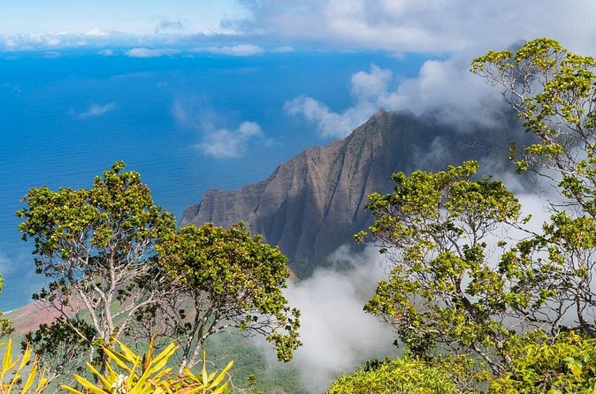 Day Trip from Oahu to Kauai: Highlights & Movie Sites - Kilauea Point finishes the route with a famous view