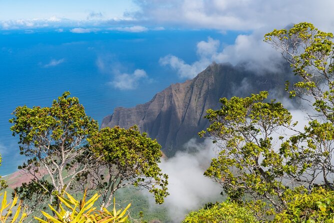 Day Trip from Oahu to Kauai: Highlights & Movie Sites - The 5:30 a.m. start sets the tone