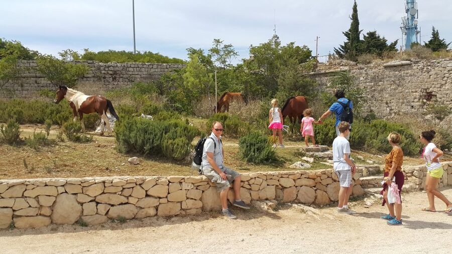 Dubrovnik: Game of Thrones Locations Driving Tour - Trsteno Arboretum: King’s Landing in a real garden