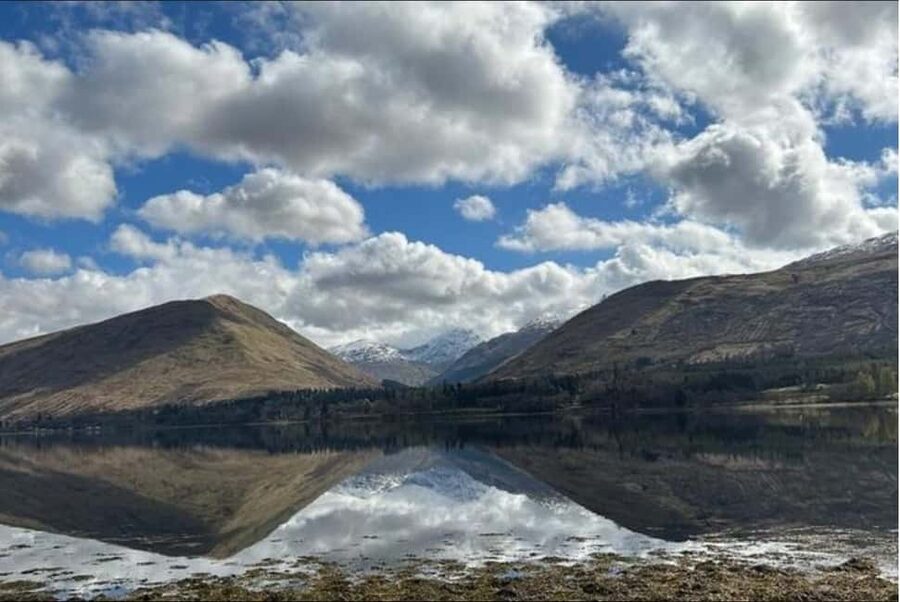 Edinburgh: Harry Potter, Glenfinnan & Highlands Private Tour - Feeding the Highland coos ends the day on a light note