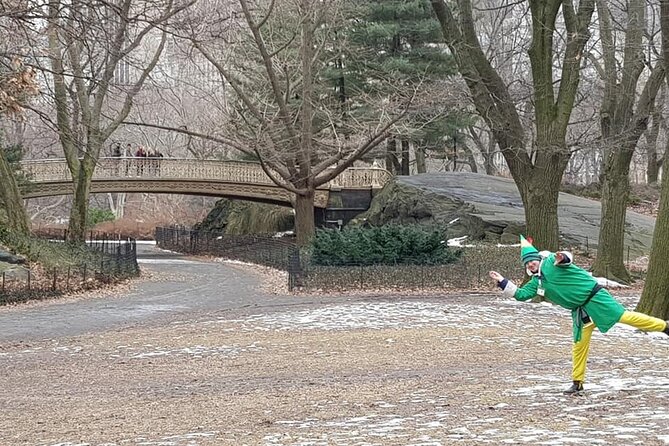 Elf and Home Alone 2 Movie Locations Tour in Central Park - Gapstow Bridge and the Pigeon Lady connection
