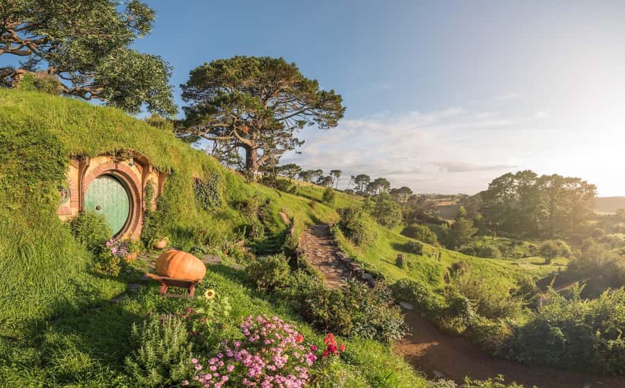 Ex Auckland: Hobbiton & Rotorua Māori Village w Hangi Lunch - Five details that shape the day