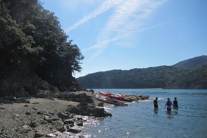 Explore the Nature that Inspired Ghibli Movies by Kayak (Half Day) - Why Tomonoura Is Worth Seeing From the Sea