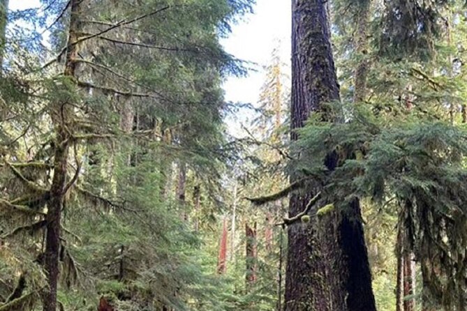 Forks Town, Twilight Movie, Olympic Small Group 1 Day Tour - Weather, closures, and schedule changes