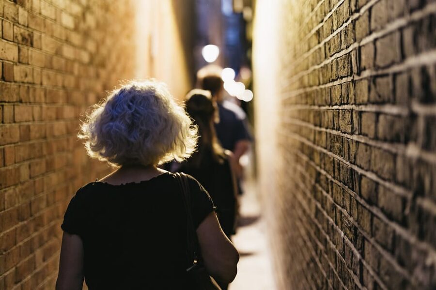 French Language: Original Harry Potter Walking Tour - Finishing at the Palace Theatre