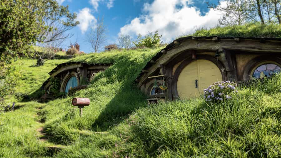 From Auckland: Hobbiton Afternoon Tour - Key points at a glance
