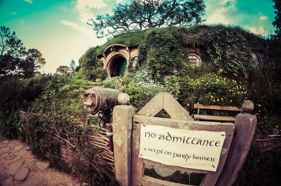 From Auckland: Hobbiton Afternoon Tour - Why the late start matters