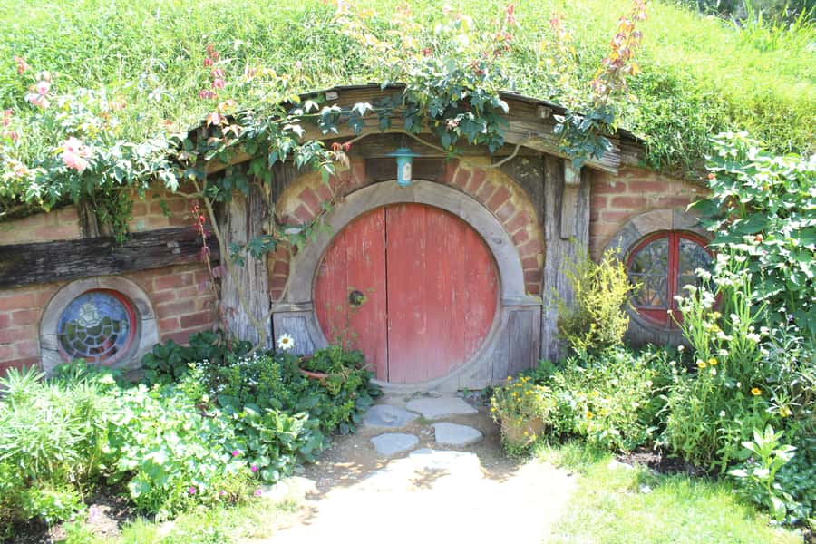 From Auckland: Hobbiton Afternoon Tour - Pickup limits and small-group conditions