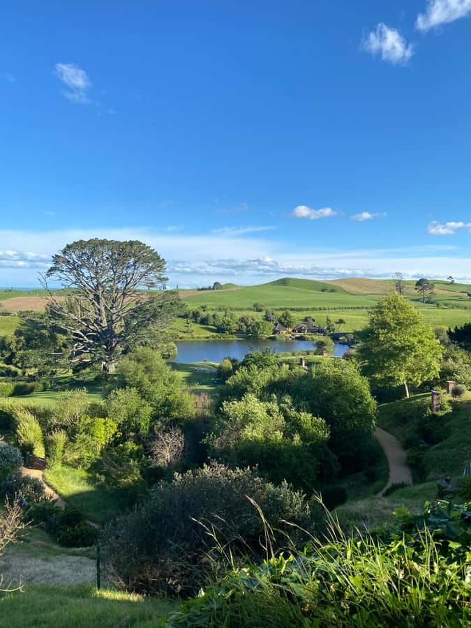 From Auckland: Hobbiton & Hamilton Gardens Small Group Tour - The short transfer to Hobbiton