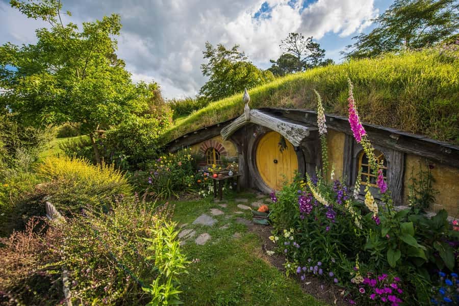 From Auckland: Hobbiton Movie Set Full-Day Small-Group Trip - Key points at a glance